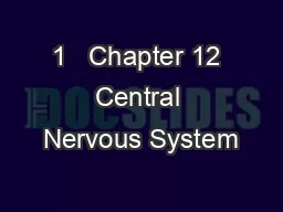 1   Chapter 12 Central Nervous System