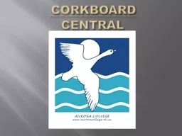 CORKBOARD   CENTRAL