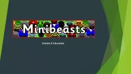 Schools & Education What is a mini-beast?