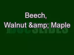 Beech, Walnut & Maple