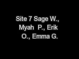 Site 7 Sage W.,  Myah  P., Erik O., Emma G.