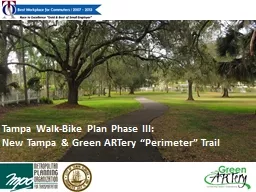 Tampa Walk-Bike Plan Phase III: