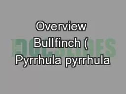 Overview Bullfinch ( Pyrrhula pyrrhula