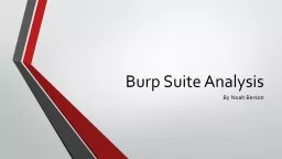 Burp Suite Analysis By Noah Berson