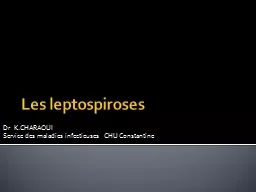 Les leptospiroses Dr   K.CHARAOUI