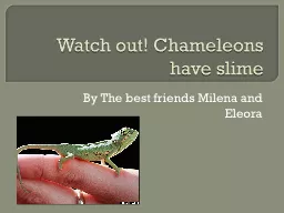 Watch out! Chameleons  have slime