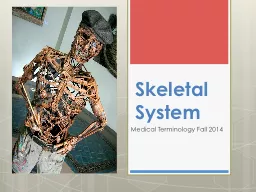 Skeletal System Medical Terminology Fall 2014
