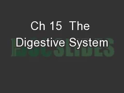 Ch 15  The Digestive System