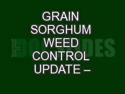 GRAIN SORGHUM WEED CONTROL UPDATE –