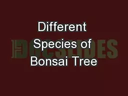 Different Species of Bonsai Tree