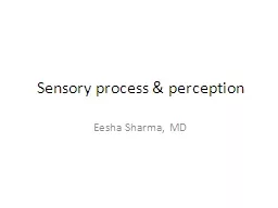 Sensory process & perception