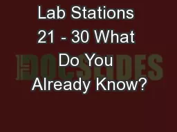 Lab Stations 21 - 30 What Do You Already Know?