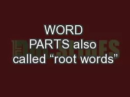WORD PARTS also called “root words”