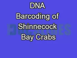 DNA Barcoding of Shinnecock Bay Crabs