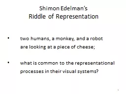 1 Shimon Edelman’s   Riddle of Representation