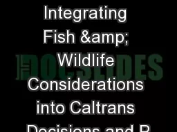 Seeking Safe Passage:  Integrating Fish & Wildlife Considerations into Caltrans Decisions and P