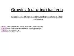 Growing (culturing) bacteria