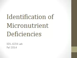 Identification of Micronutrient Deficiencies