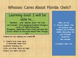 Whoooo  Cares About Florida Owls?