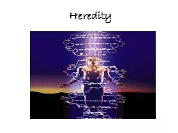 Heredity Heredity the passing of physical characteristics from parents to offspring