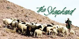 1. Never does the good shepherd take the sheep where he (