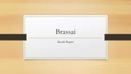 Brassai Kenzie Rogers About Brassai