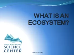 What is an Ecosystem? www.pwssc.org