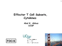 1 Effector  T Cell Subsets, Cytokines