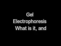 Gel Electrophoresis What is it, and