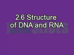 2.6 Structure of DNA and RNA