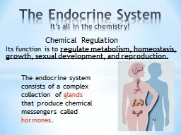 The Endocrine System It’s all in the chemistry!