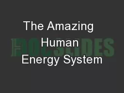 The Amazing  Human Energy System