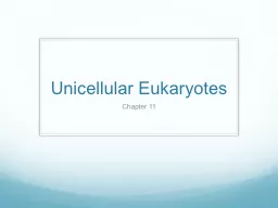Unicellular Eukaryotes Chapter 11