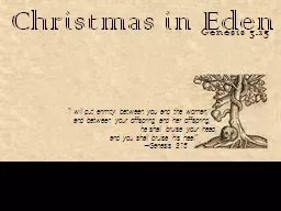 Christmas in Eden Genesis 3.15