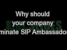 Why should your company nominate SIP Ambassadors?