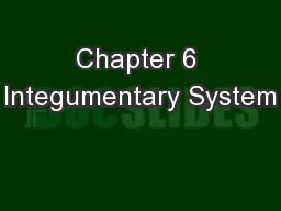 Chapter 6 Integumentary System