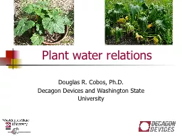 Plant water relations Douglas R. Cobos, Ph.D.