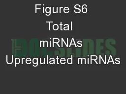 Figure S6 Total  miRNAs Upregulated miRNAs