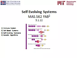 Self Evolving Systems MAS.S62 FAB