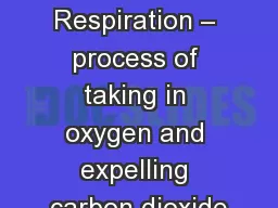 Respirations Respiration – process of taking in oxygen and expelling carbon dioxide