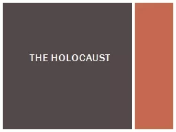 The Holocaust 11 million people were exterminated