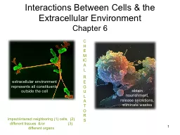 1 Interactions Between Cells & the Extracellular Environment