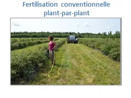 Fertilisation conventionnelle