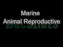 Marine Animal Reproductive