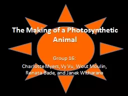 The Making of a Photosynthetic Animal