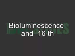 Bioluminescence and  16 th