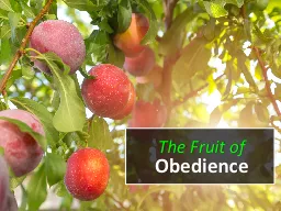 The Fruit of Obedience