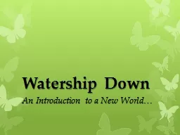 Watership  Down An Introduction to a