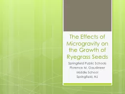 The Effects of Microgravity on the Growth of Ryegrass Seeds