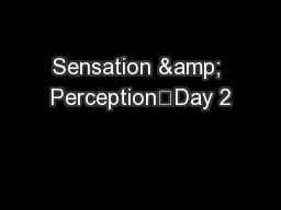 Sensation & Perception	Day 2